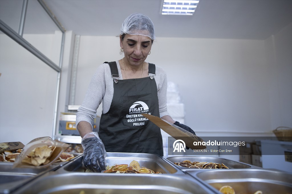 Tunceli'de kurulan meyve sebze kurutma tesisi dar gelirli kadınlara iş kapısı oldu