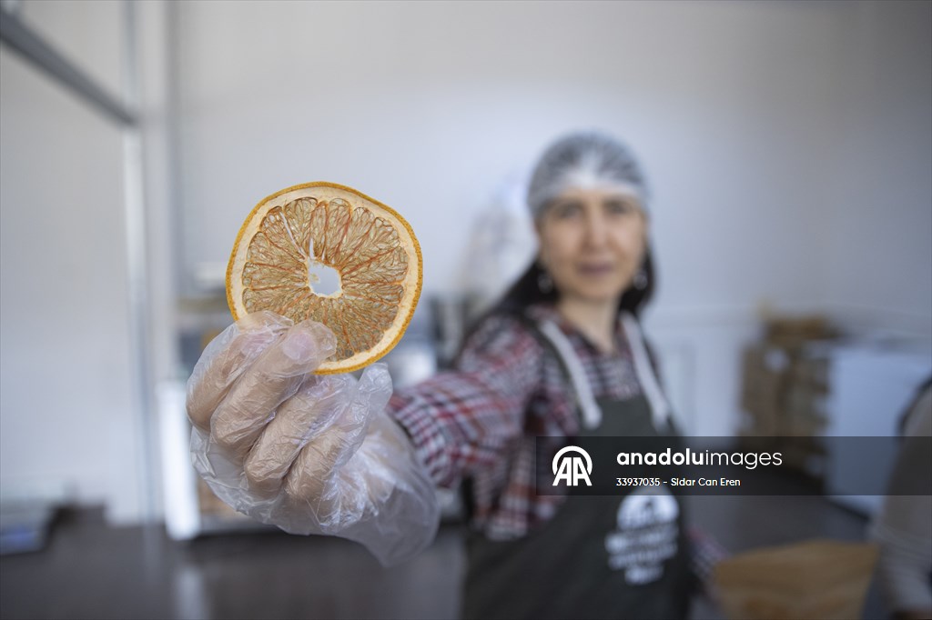 Tunceli'de kurulan meyve sebze kurutma tesisi dar gelirli kadınlara iş kapısı oldu
