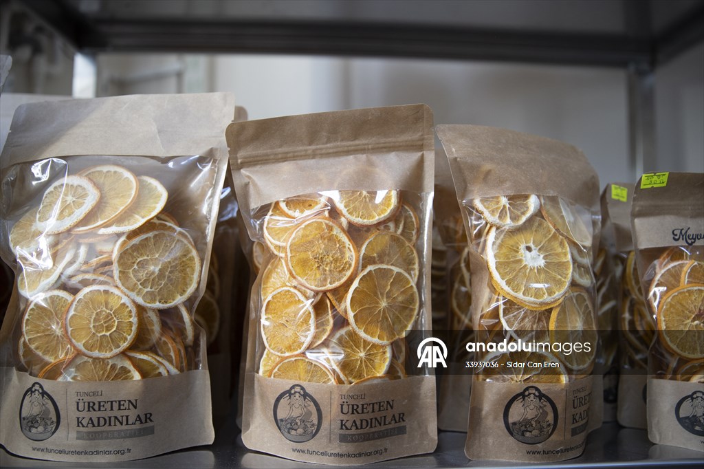 Tunceli'de kurulan meyve sebze kurutma tesisi dar gelirli kadınlara iş kapısı oldu