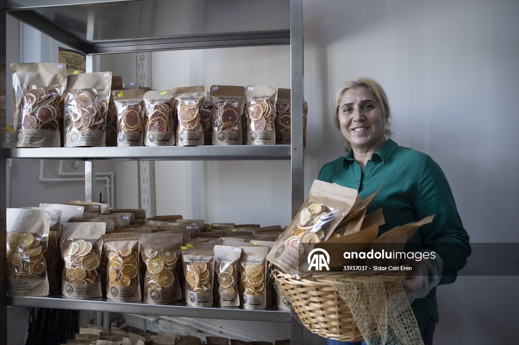 Tunceli'de kurulan meyve sebze kurutma tesisi dar gelirli kadınlara iş kapısı oldu