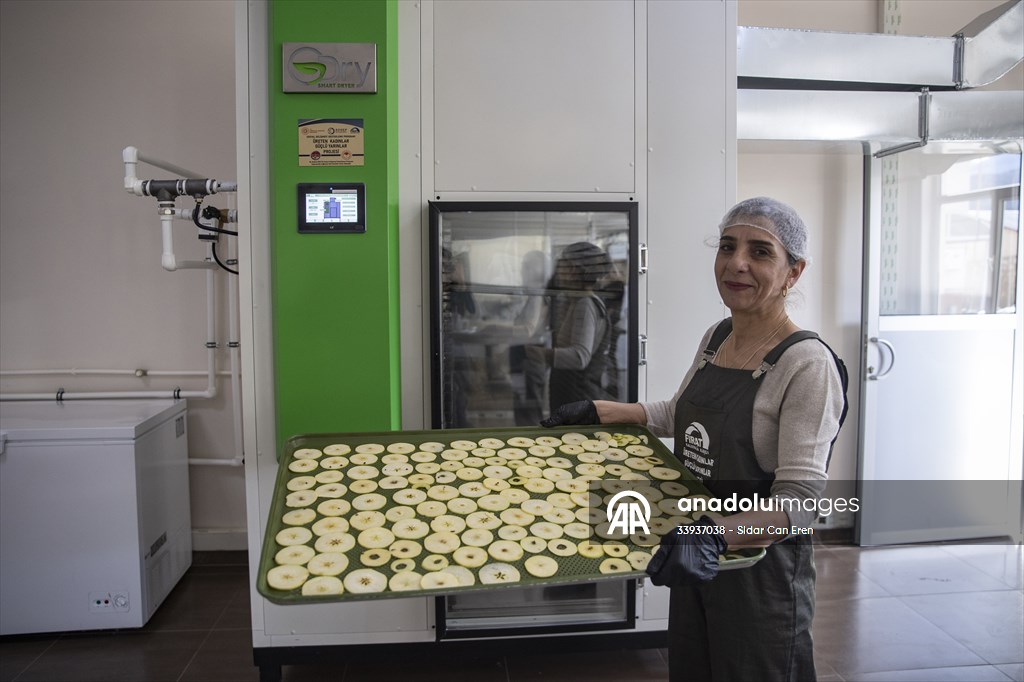 Tunceli'de kurulan meyve sebze kurutma tesisi dar gelirli kadınlara iş kapısı oldu