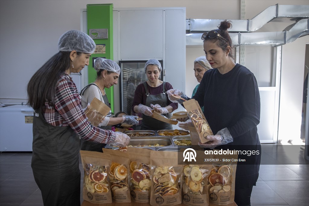 Tunceli'de kurulan meyve sebze kurutma tesisi dar gelirli kadınlara iş kapısı oldu