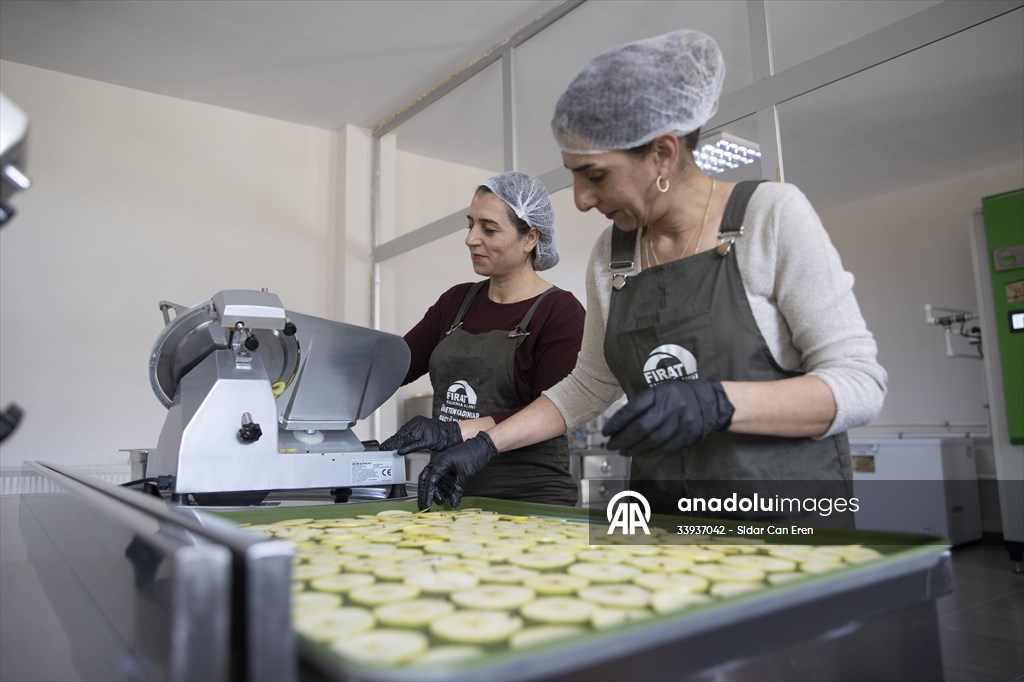 Tunceli'de kurulan meyve sebze kurutma tesisi dar gelirli kadınlara iş kapısı oldu