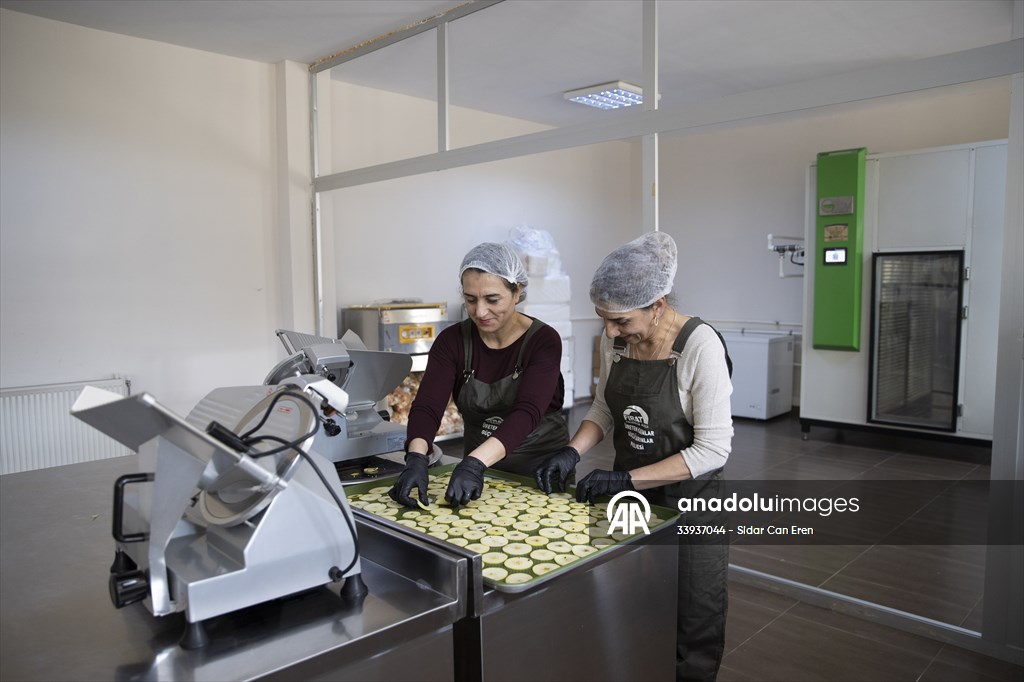 Tunceli'de kurulan meyve sebze kurutma tesisi dar gelirli kadınlara iş kapısı oldu