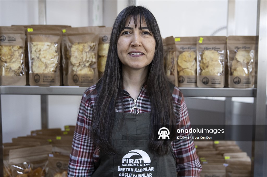 Tunceli'de kurulan meyve sebze kurutma tesisi dar gelirli kadınlara iş kapısı oldu