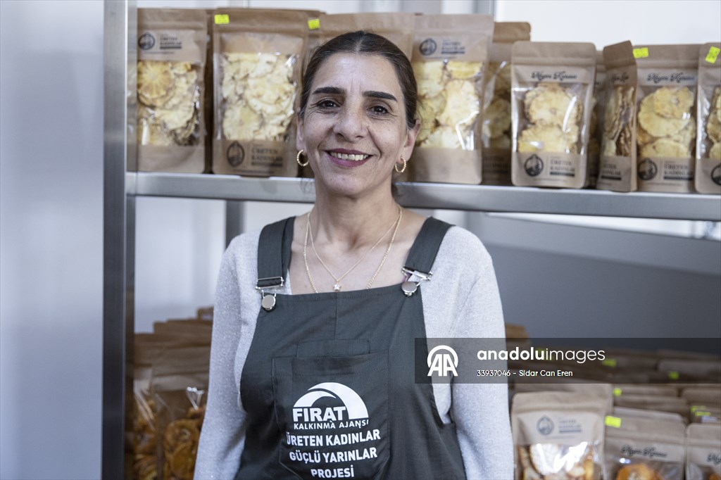 Tunceli'de kurulan meyve sebze kurutma tesisi dar gelirli kadınlara iş kapısı oldu