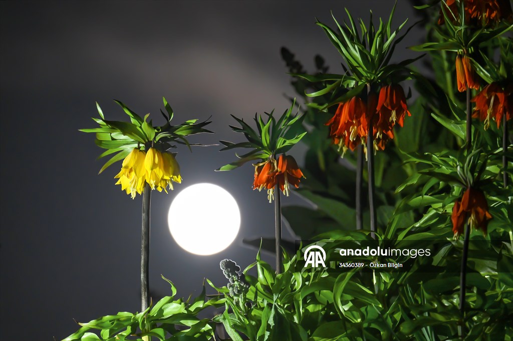 Full Moon in Turkiye's Van