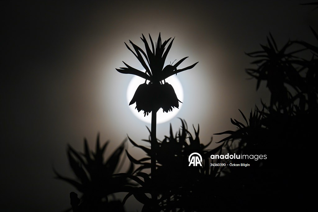 Full Moon in Turkiye's Van