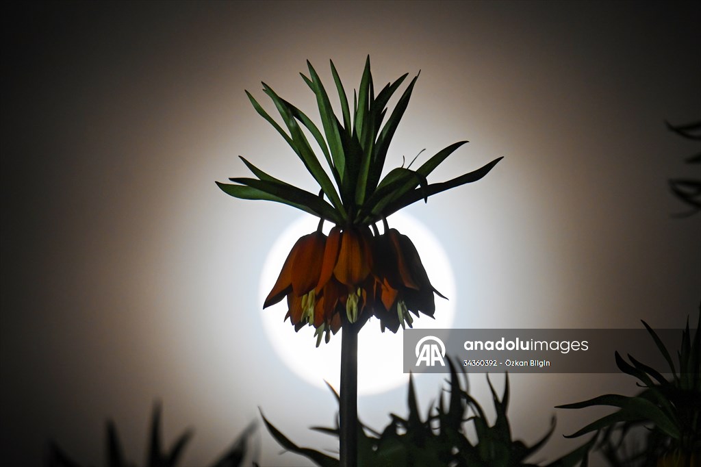 Full Moon in Turkiye's Van