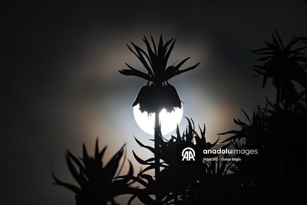 Full Moon in Turkiye's Van