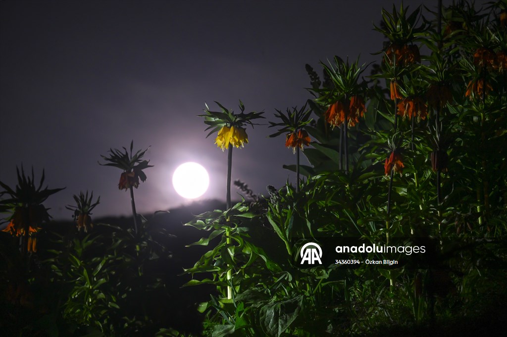 Full Moon in Turkiye's Van