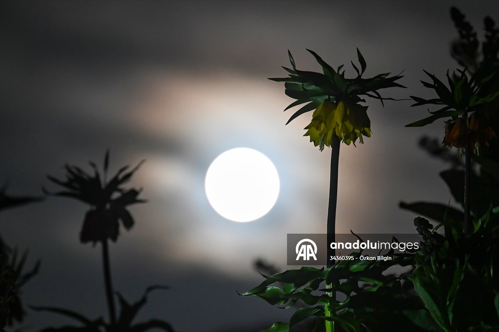Full Moon in Turkiye's Van