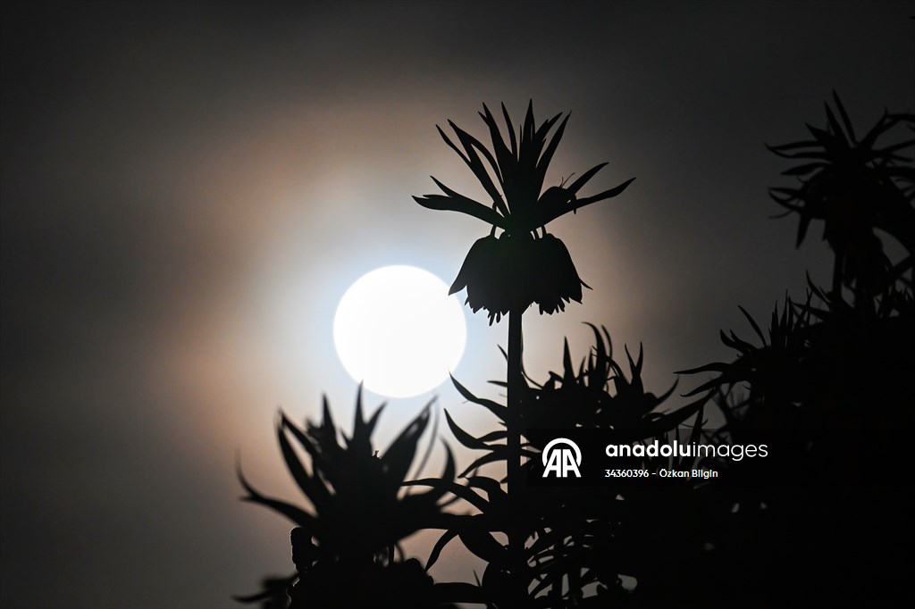 Full Moon in Turkiye's Van