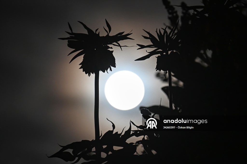Full Moon in Turkiye's Van