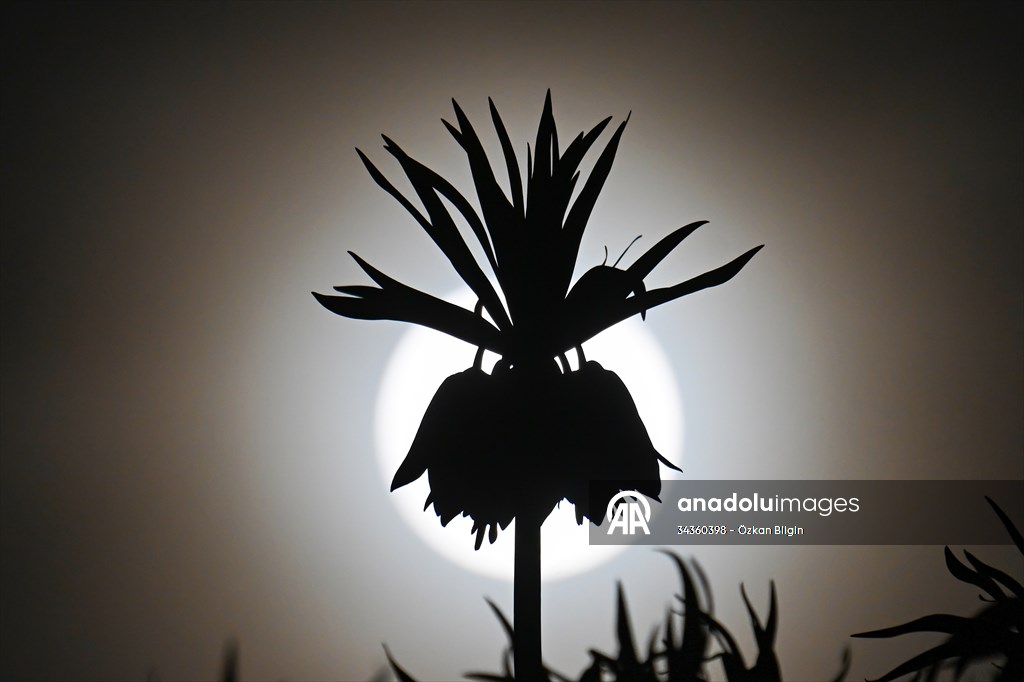 Full Moon in Turkiye's Van
