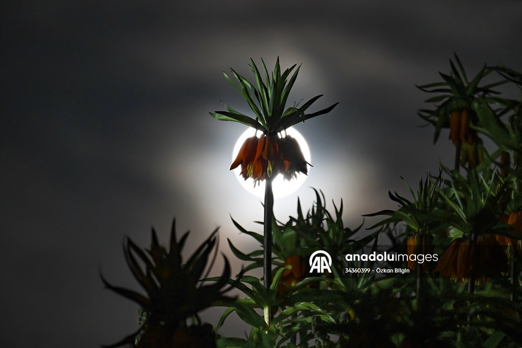 Full Moon in Turkiye's Van