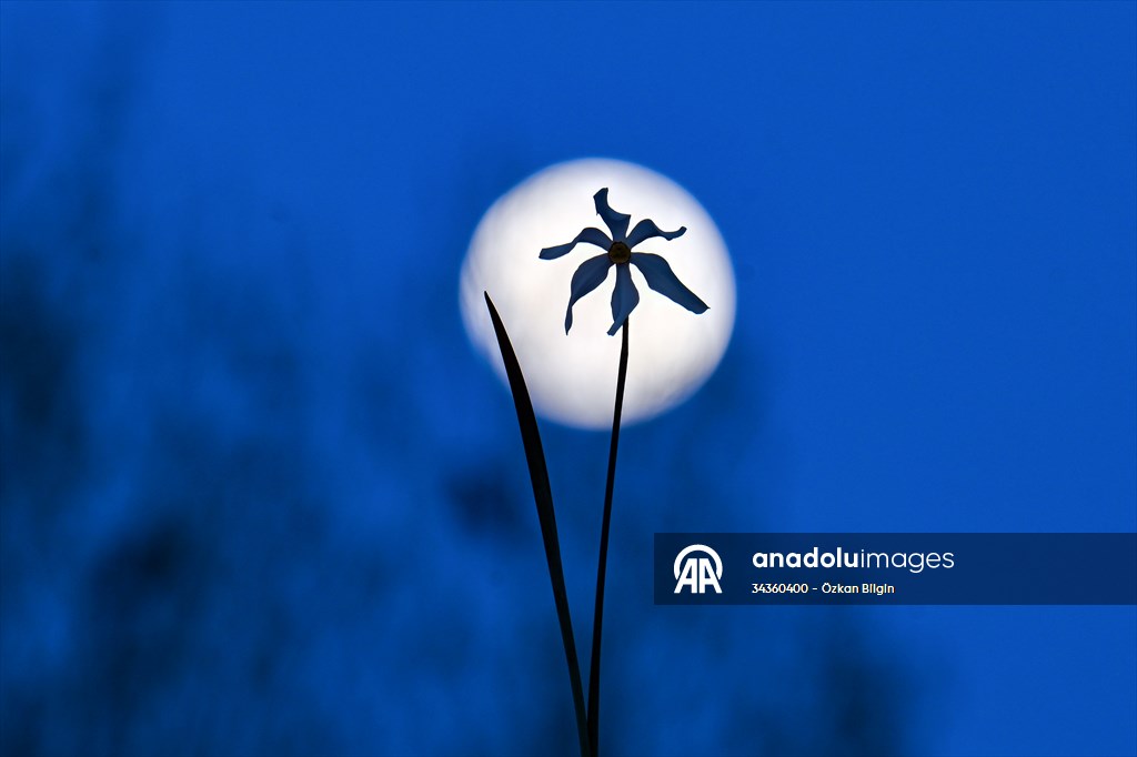 Full Moon in Turkiye's Van