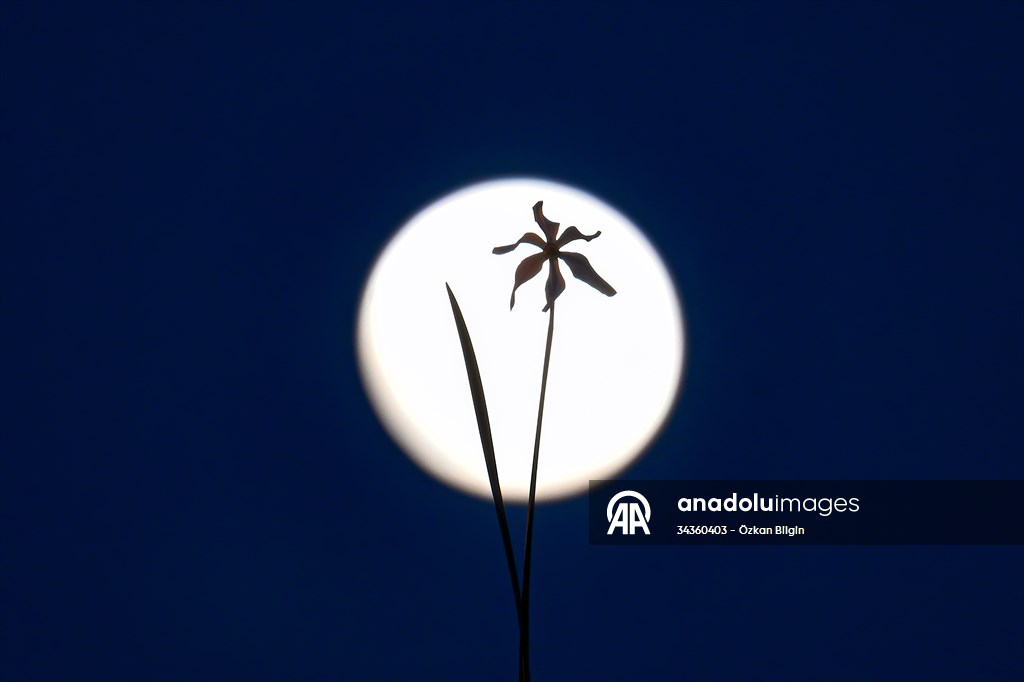 Full Moon in Turkiye's Van