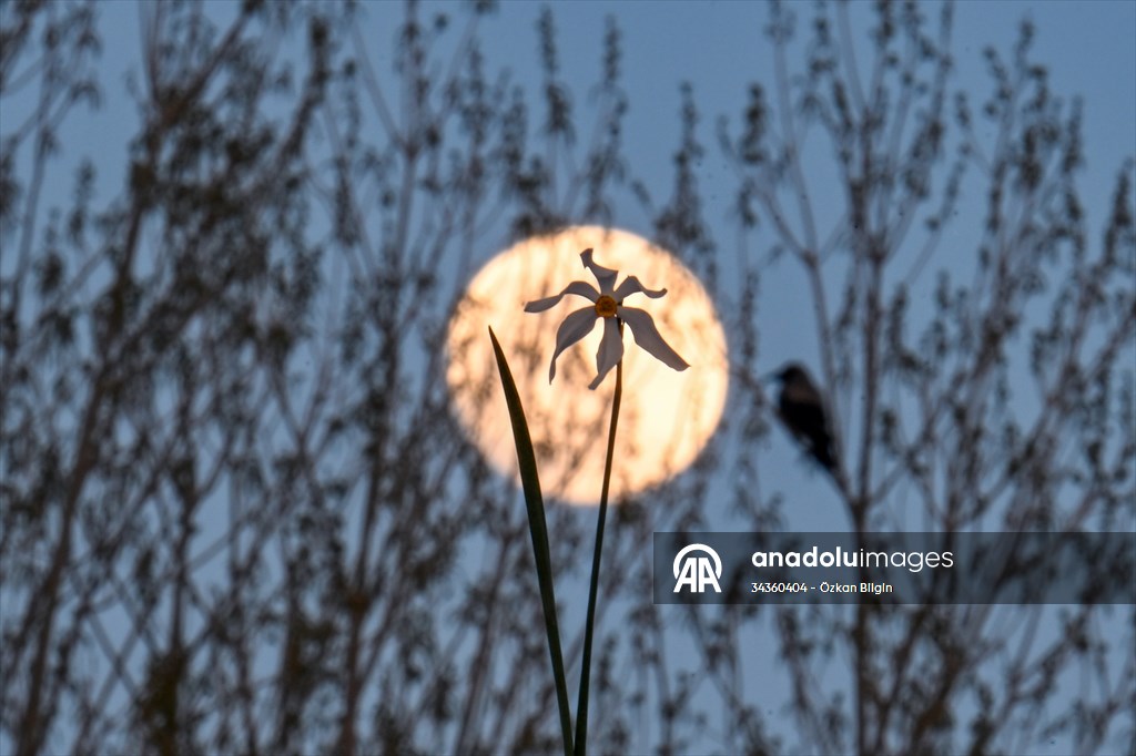 Full Moon in Turkiye's Van