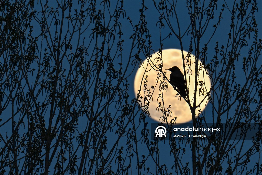 Full Moon in Turkiye's Van