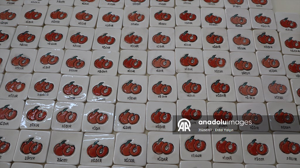 Iğdır'ı simgeleyen semboller üniversitede magnete dönüştürülüyor