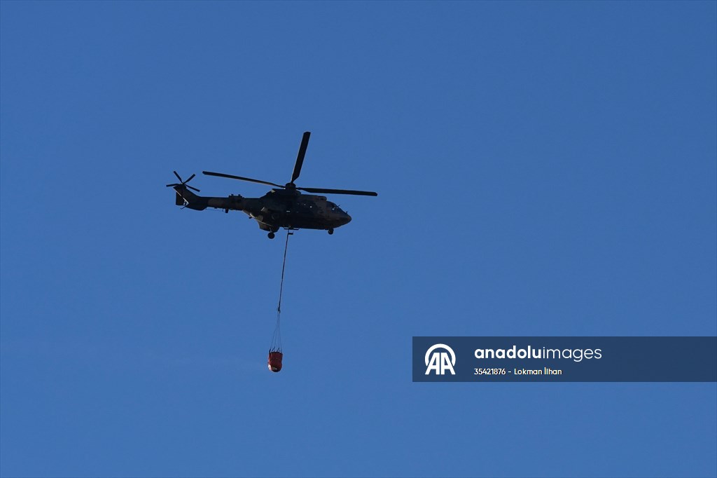 Efforts continue to combat forest fires in Izmir