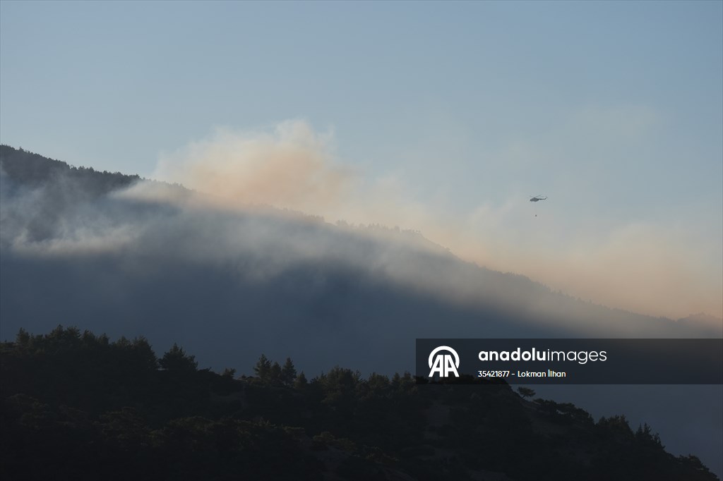Efforts continue to combat forest fires in Izmir