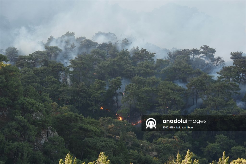 Efforts continue to combat forest fires in Izmir