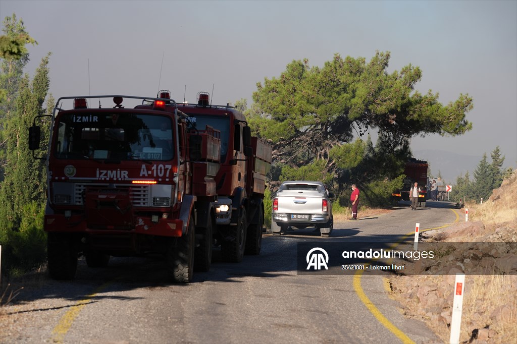 Efforts continue to combat forest fires in Izmir