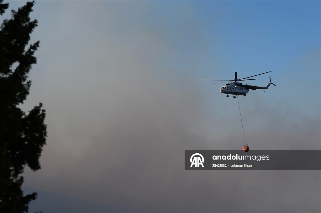 Efforts continue to combat forest fires in Izmir