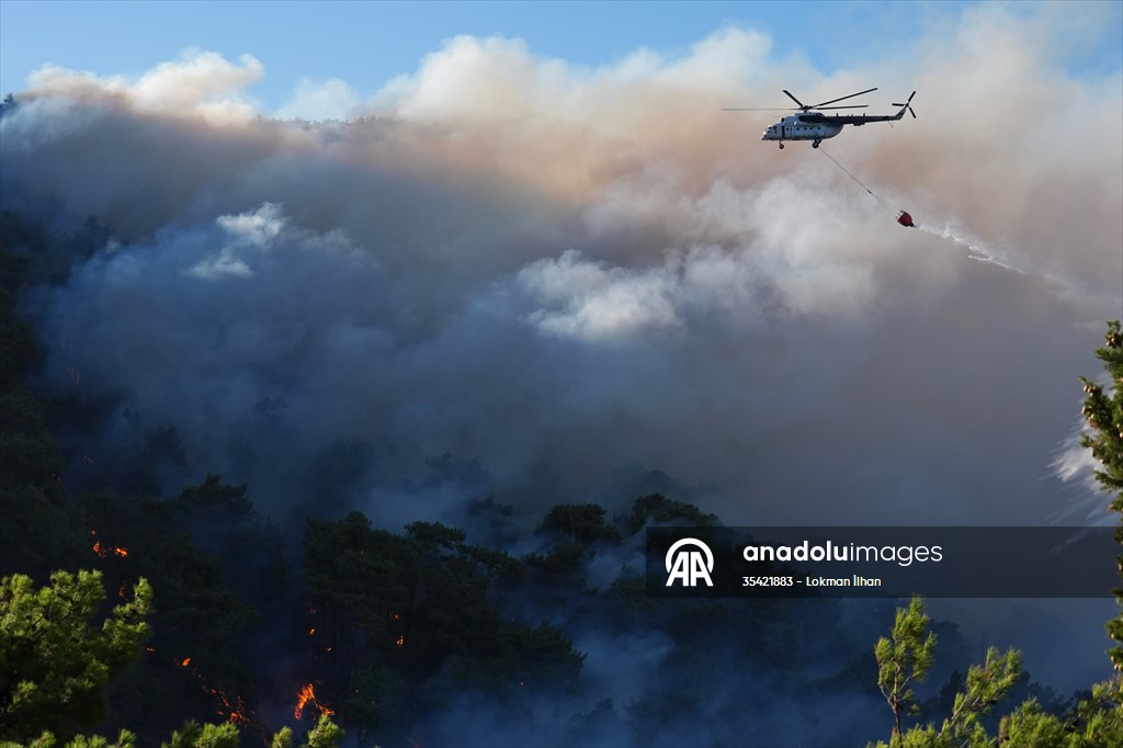 Efforts continue to combat forest fires in Izmir