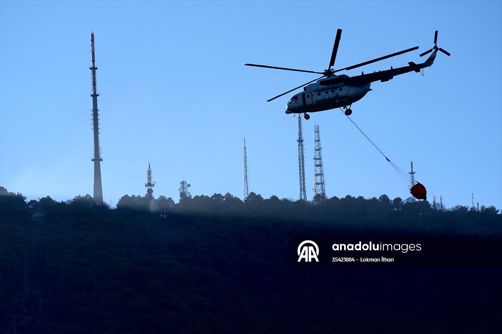 Efforts continue to combat forest fires in Izmir