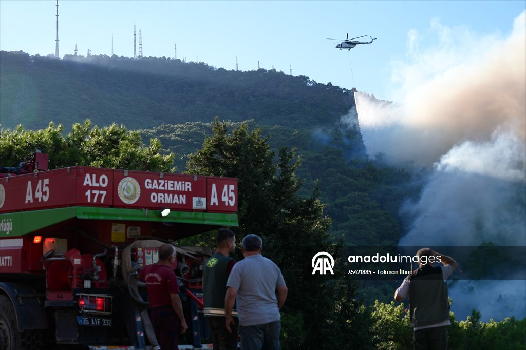 Efforts continue to combat forest fires in Izmir
