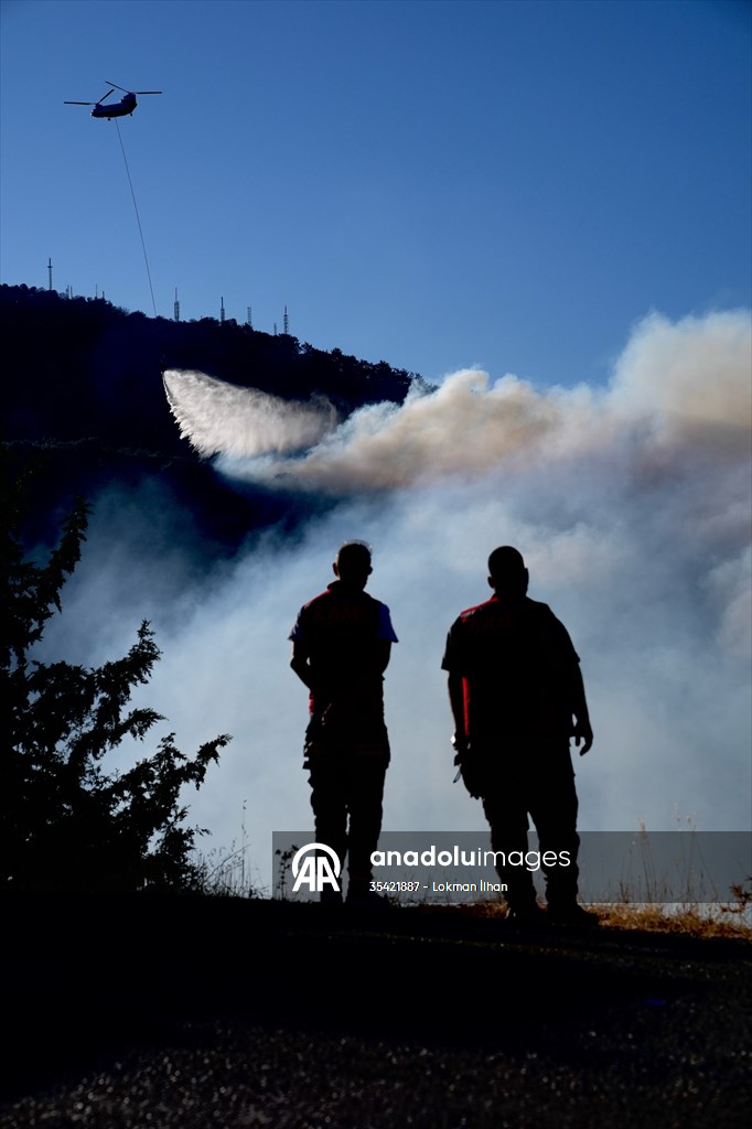 Efforts continue to combat forest fires in Izmir