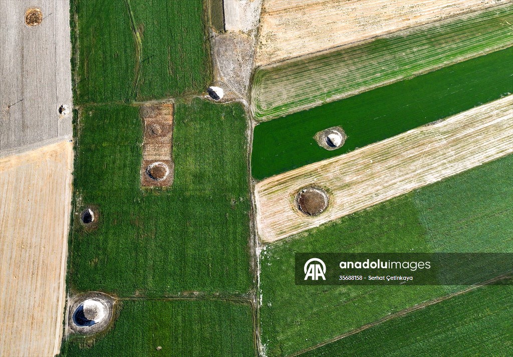 Experts warn of increasing sinkhole activity across Turkiye