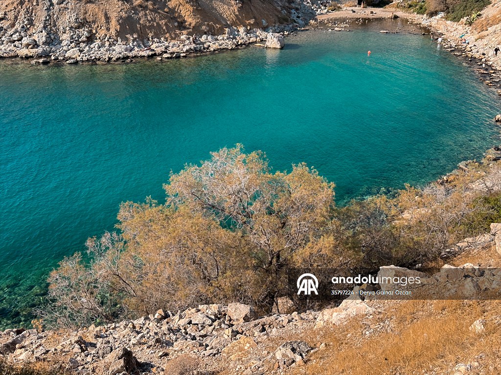 İklim krizi ve insan etkisiyle Kızıldeniz'den Akdeniz'e geçen türler doğa için tehdit