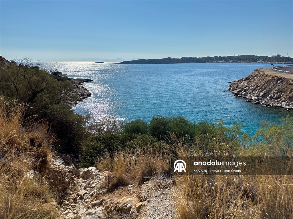 İklim krizi ve insan etkisiyle Kızıldeniz'den Akdeniz'e geçen türler doğa için tehdit