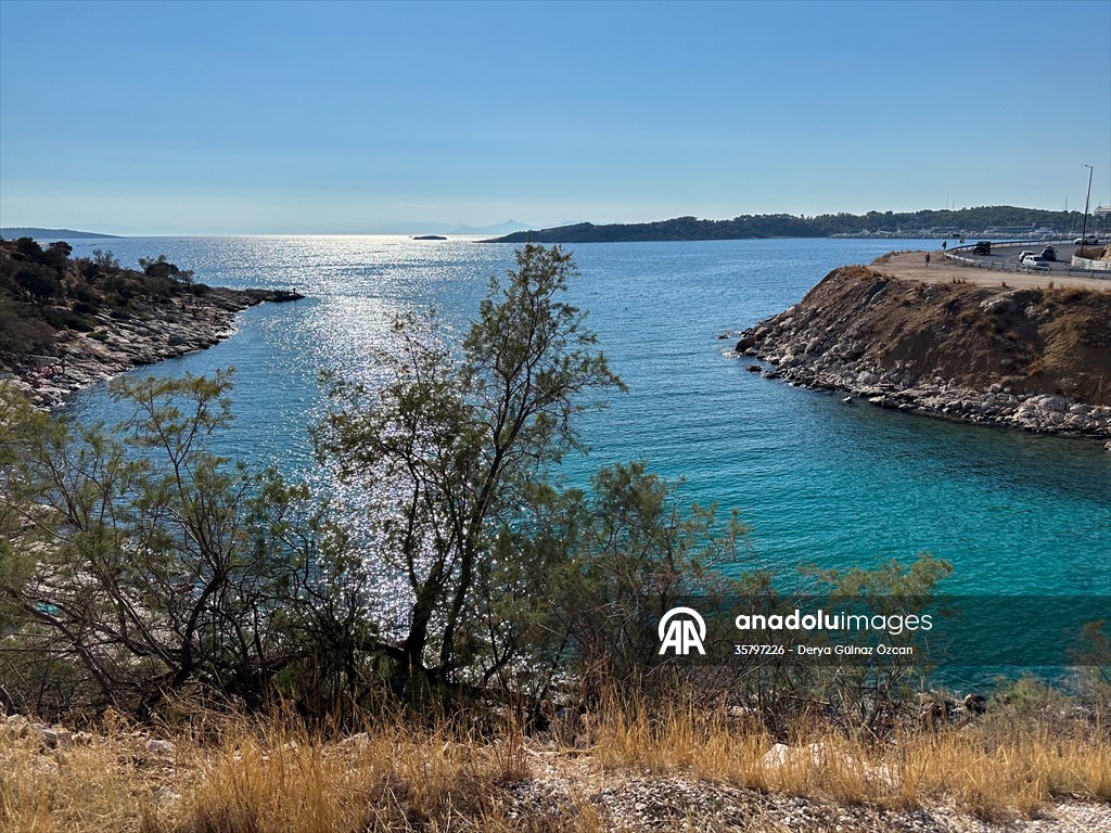 İklim krizi ve insan etkisiyle Kızıldeniz'den Akdeniz'e geçen türler doğa için tehdit
