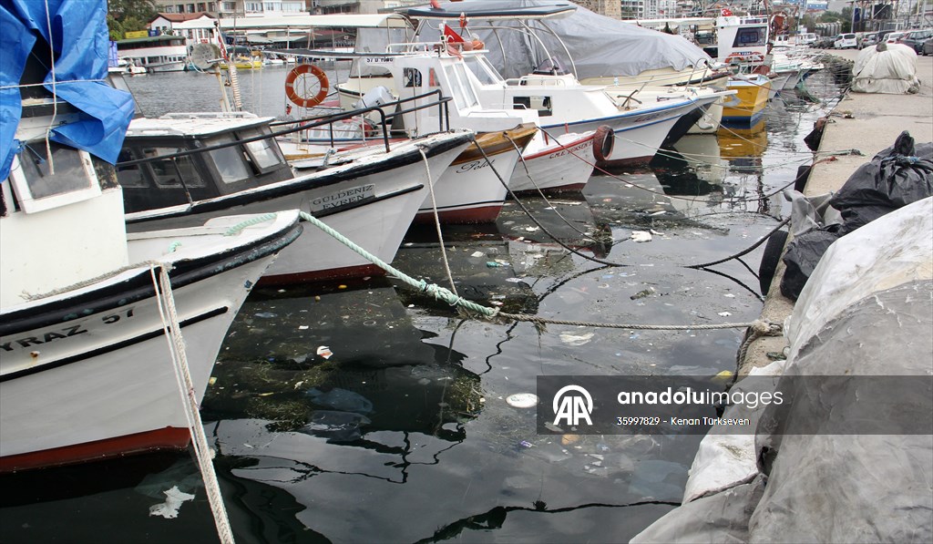 Doğaya bırakılan plastik çöpler deniz canlıları üzerinde ölümcül sonuçlar doğuruyor