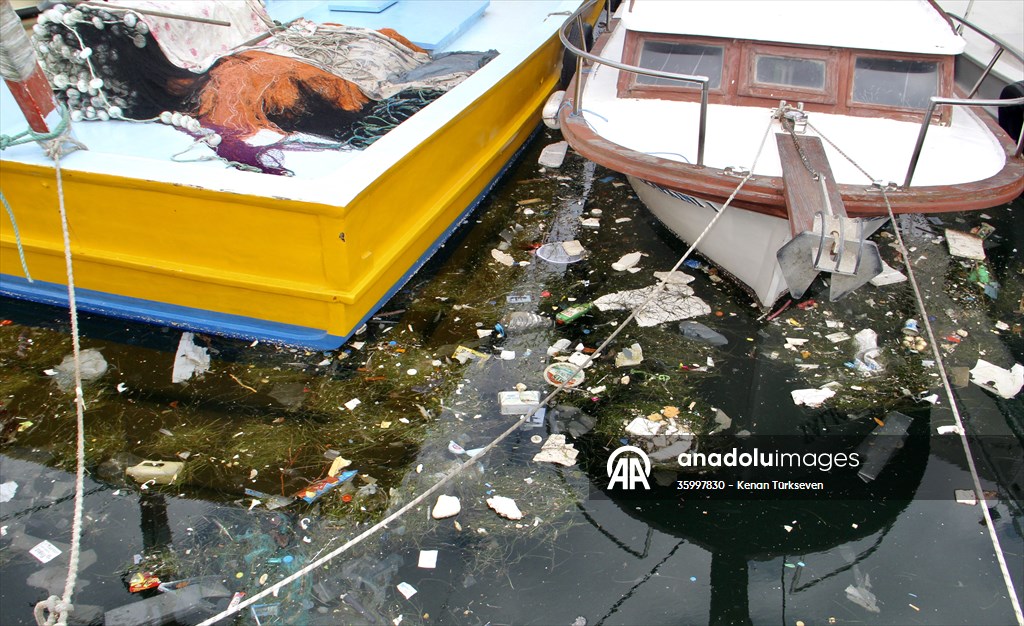 Doğaya bırakılan plastik çöpler deniz canlıları üzerinde ölümcül sonuçlar doğuruyor