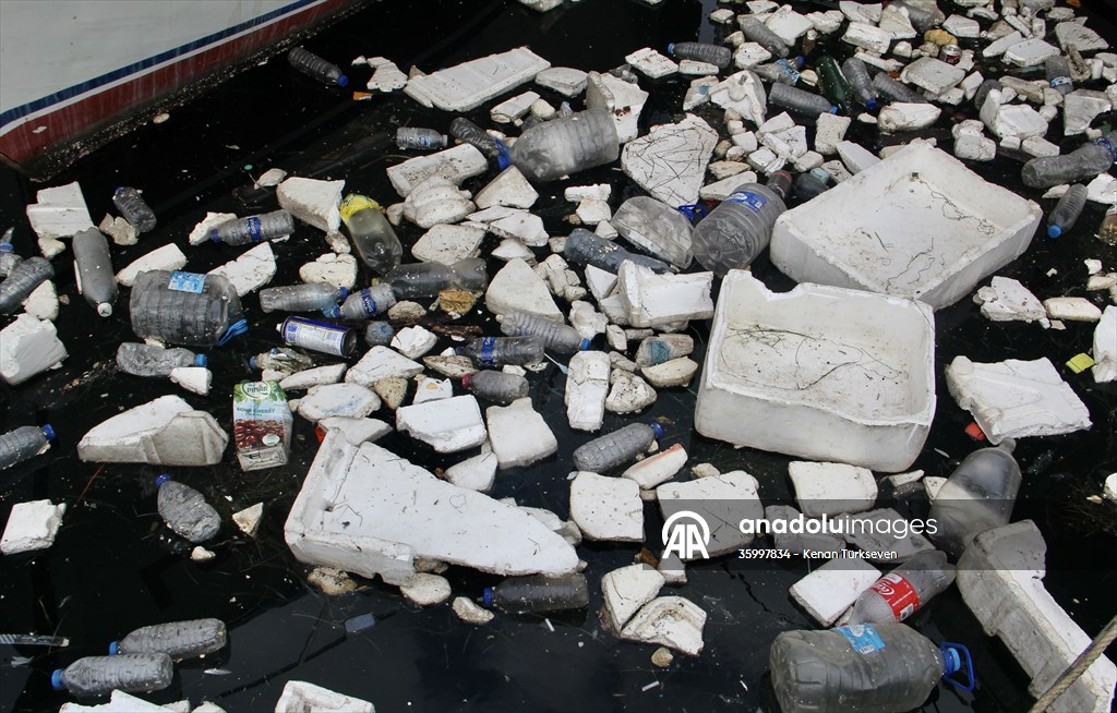 Doğaya bırakılan plastik çöpler deniz canlıları üzerinde ölümcül sonuçlar doğuruyor