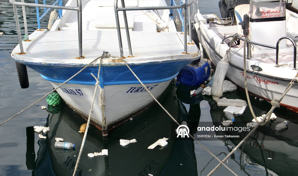 Doğaya bırakılan plastik çöpler deniz canlıları üzerinde ölümcül sonuçlar doğuruyor