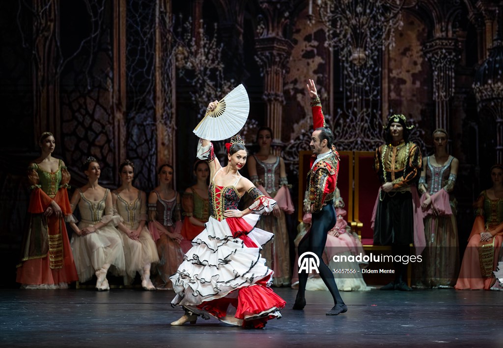 “Swan Lake” by the Imperial Russian Ballet Company in Ankara