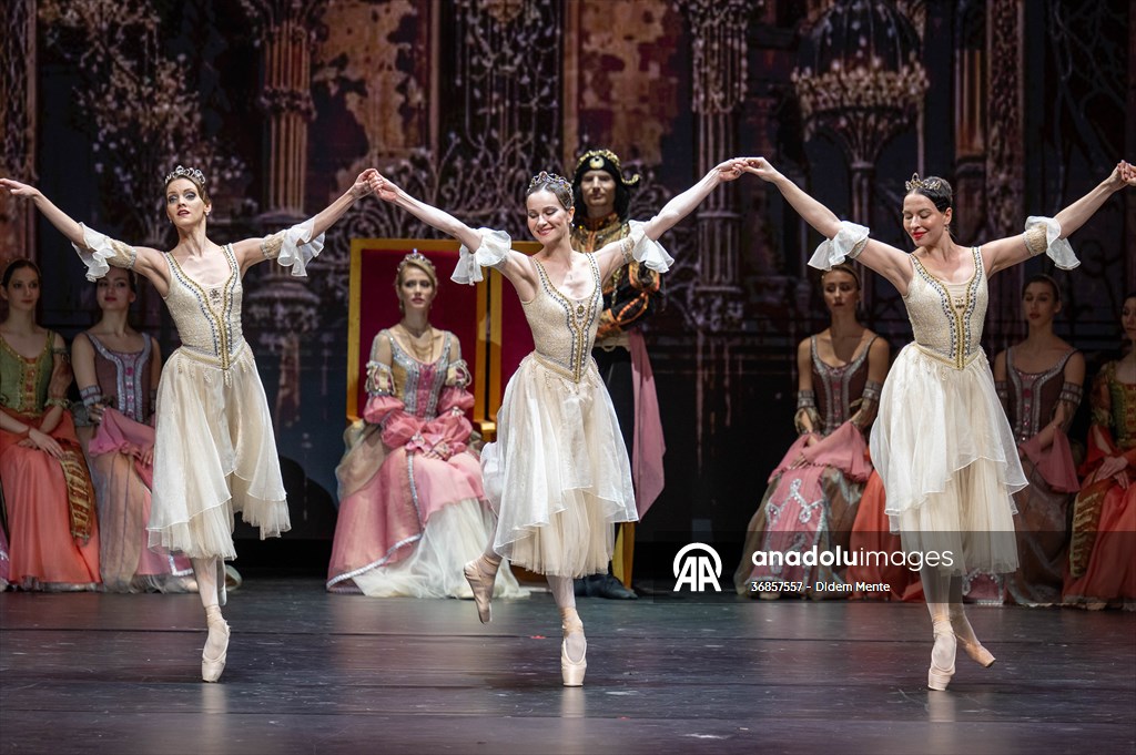 “Swan Lake” by the Imperial Russian Ballet Company in Ankara