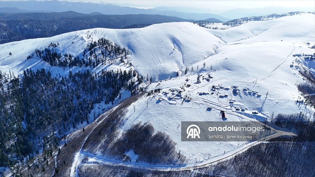 Kardüz Yaylası'ndaki kış manzaraları havadan görüntülendi
