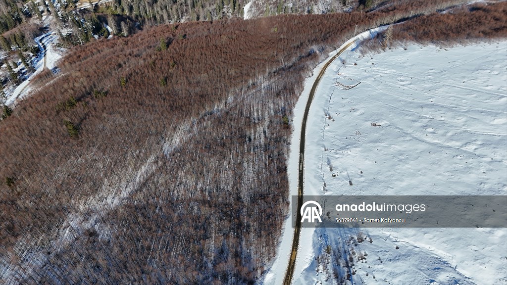 Kardüz Yaylası'ndaki kış manzaraları havadan görüntülendi