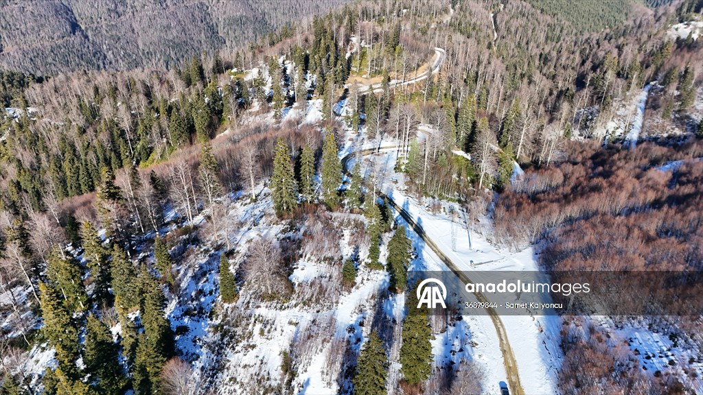 Kardüz Yaylası'ndaki kış manzaraları havadan görüntülendi