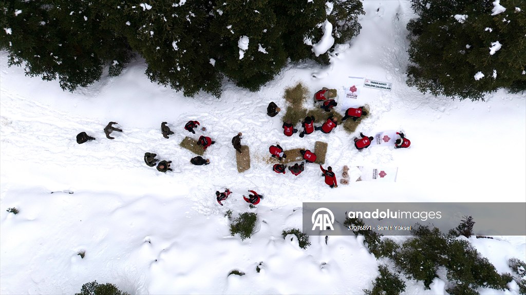 Kastamonu'da karlı yolları yaban hayvanları için aşıp doğaya yem bıraktılar