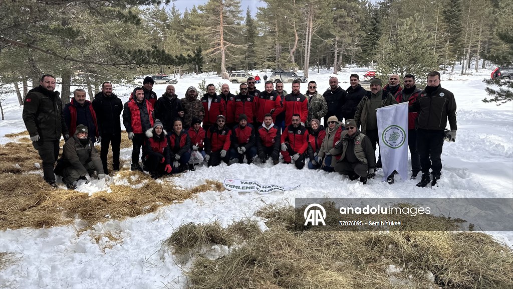 Kastamonu'da karlı yolları yaban hayvanları için aşıp doğaya yem bıraktılar