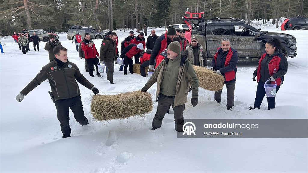 Kastamonu'da karlı yolları yaban hayvanları için aşıp doğaya yem bıraktılar